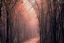 金年会:中國籃球公開賽預選賽洋河夢之藍臺州賽區浙江互創建築奪得冠軍.