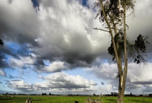 金年会体育官方网站:中超第1輪河南嵩山龍門1-2深圳隊 金特羅兩助攻阿奇姆彭卡爾德克破門.