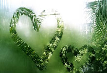 英超第32輪補賽布萊頓1-1曼城 哈蘭德進球無效 戰平收場!.