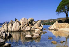 金年会体育:西班牙國奧隊奪金引西媒熱情贊揚聖費爾明精神與偉大德尼亞帶來榮耀.